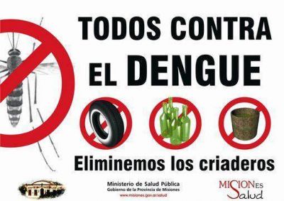 Verano: patios limpios y eliminar recipientes donde se acumule agua, son las claves para evitar el dengue 