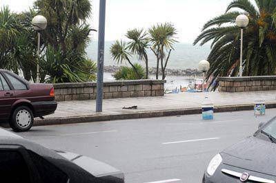 Cada vez hay m�s se�alizaci�n falsa para impedir estacionar
