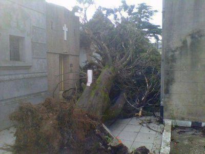 Trabajos de remoci�n y limpieza por el fuerte temporal en San Fernando