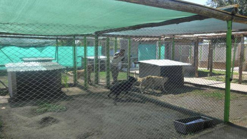 Guarder�as para mascotas, una demanda que crece cada a�o
