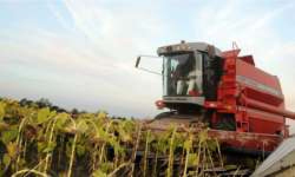 Capitanich busca transformar la agricultura en desarrollo industrial		
