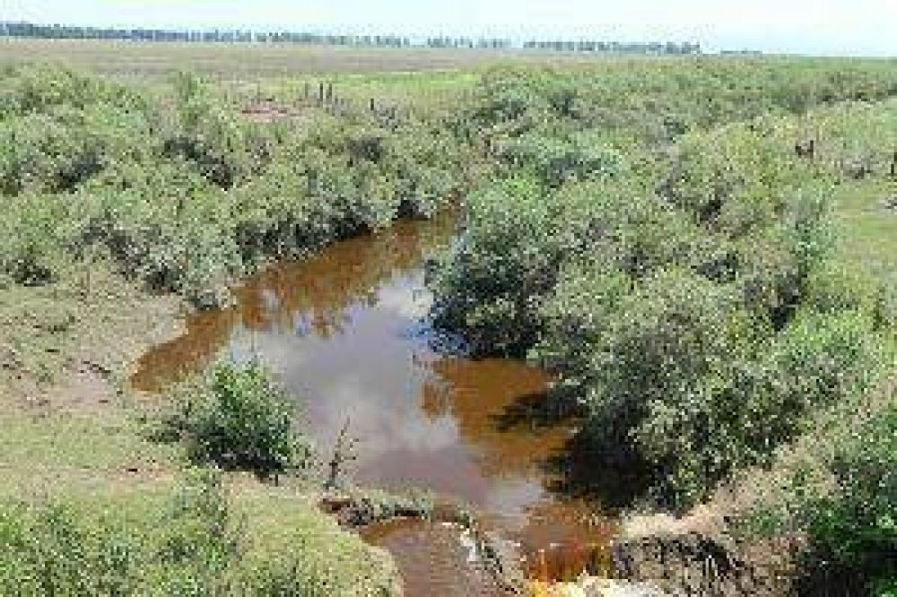 "Si no se est� encima de los ingenios, volver�n los d�as nefastos de contaminaci�n"