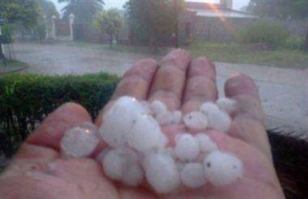 La primera lluvia del a�o sum� en la ciudad 34,5 mil�metros 