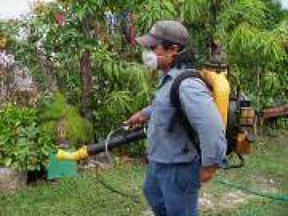 No tiene pausa la labor preventiva contra el dengue; acentu�ndose en toda la zona portuaria  