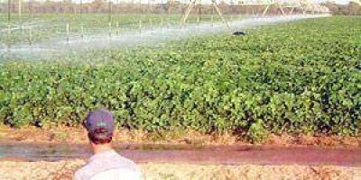 Soja: Formosa produce por $2 millones y recibe $258 millones 