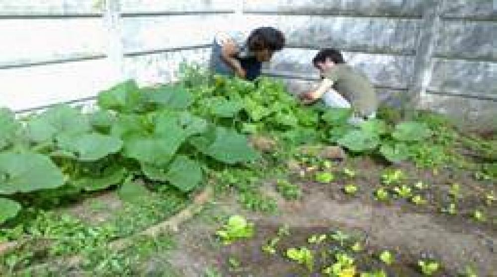 La Secretar�a de Desarrollo Humano de la Municipalidad de Saladillo cerr� el proceso de formaci�n en pr�cticas productivas