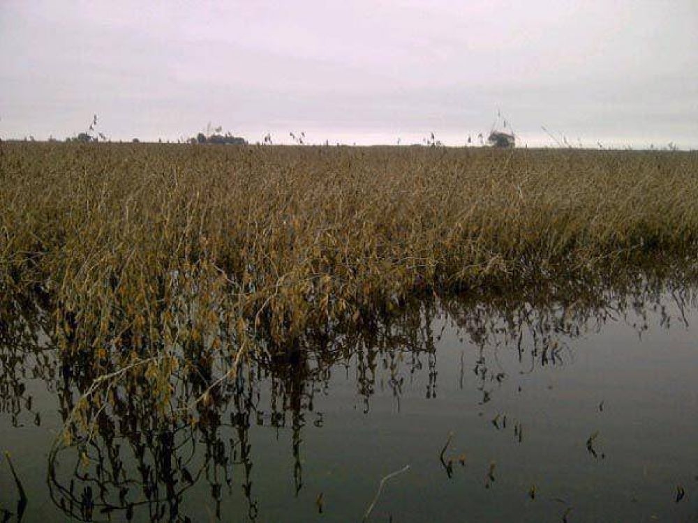 El INTA asegur� que disminuir�n las lluvias en el �rea agr�cola