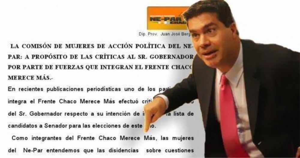 Mujeres del Nepar salieron al cruce de las "cr�ticas" del Frente Grande a Capitanich 