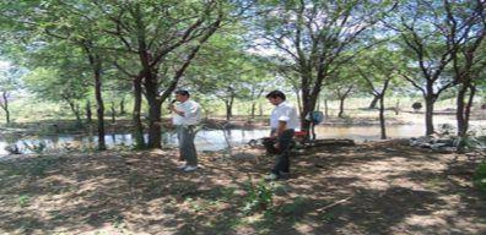 Ejecutan estudio de calidad de sitio en forestaciones de algarrobo 