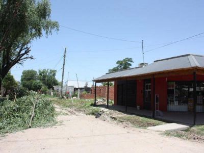 Sauces de 20mts a punto de caer hacen peligrar a vecinos de Orsi