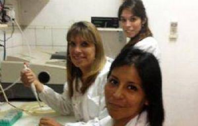 Innovan tecnolog�a para generar biodiesel 