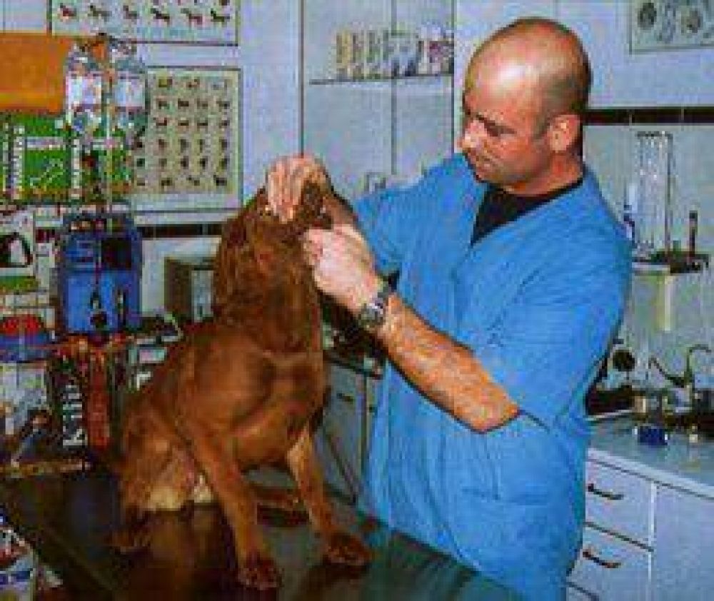Va finalizando la campa�a antirr�bica 