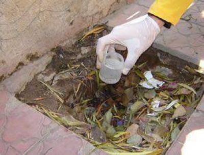 �En San Juan no hay peligro de dengue�