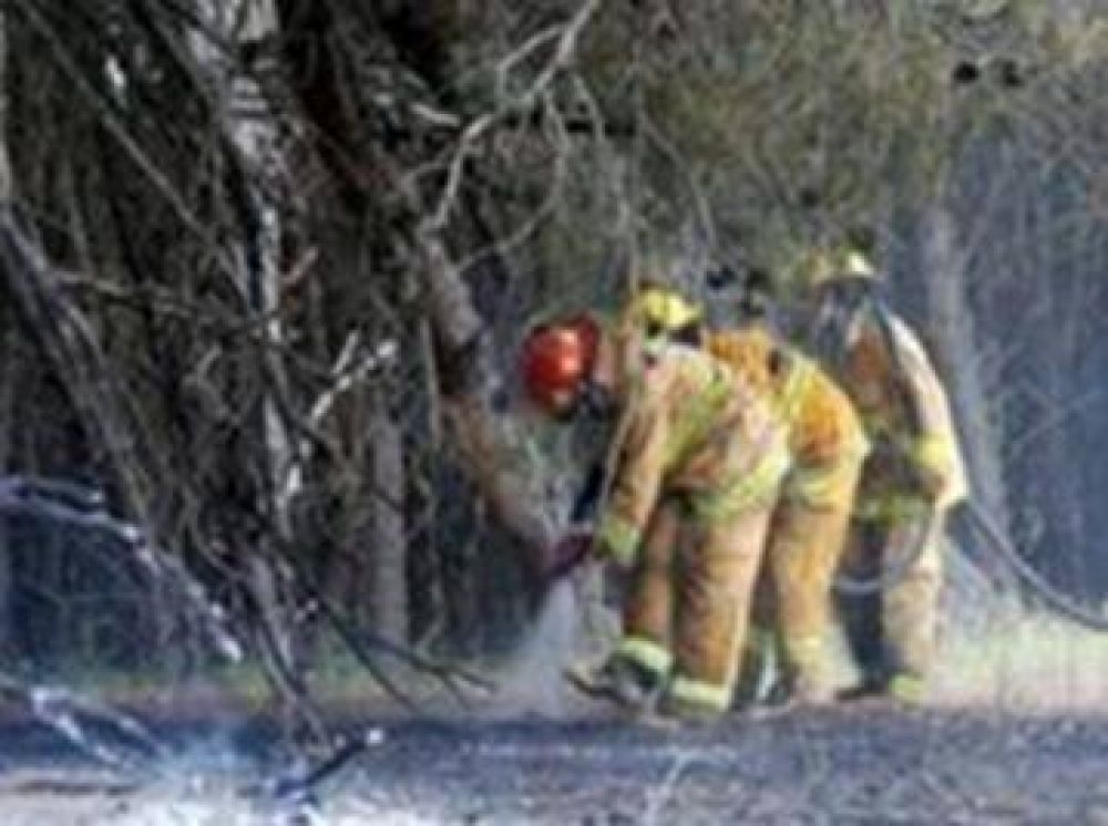 Sofocaron un incendio en el Vivero de la villa balnearia
