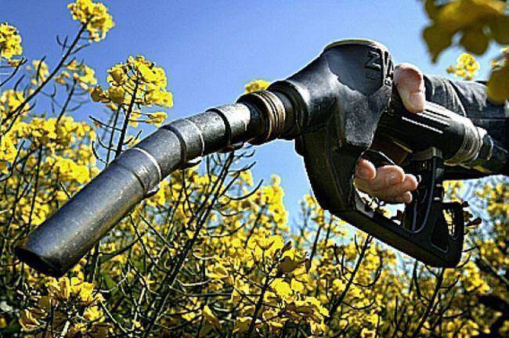 Sequ�a: Entregan gasoil en reemplazo de los subsidios prometidos 