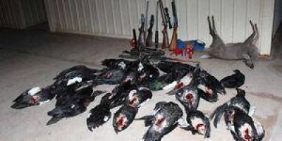 Controles contra el accionar de cazadores 