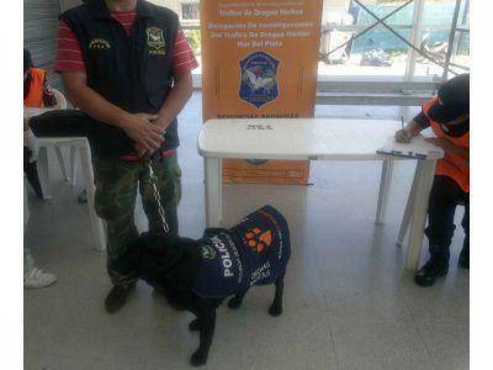 KIARA : LA PROTAGONISTA DE IMPORTANTE OPERATIVO DE SECUESTRO DE LSD