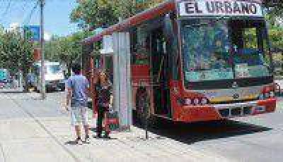 Levantan paradas de colectivos para descongestionar tr�nsito 