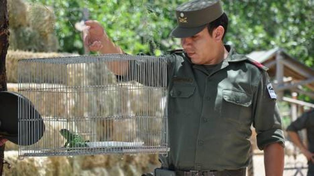 Rescataron 45 animales en cautiverio