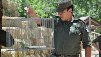 Rescataron 45 animales en cautiverio