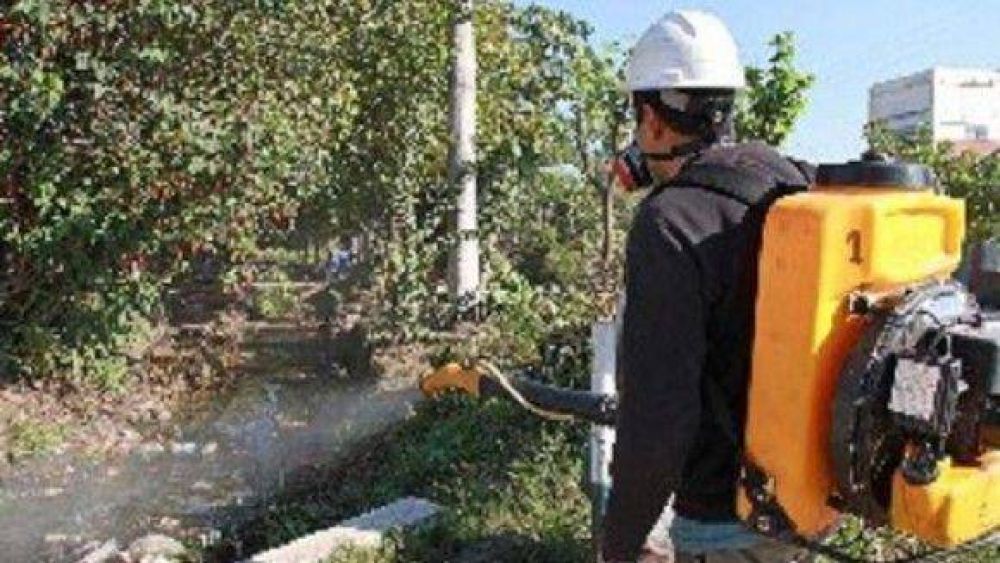 Conciencia y prevenci�n se imponen contra el dengue en Tucum�n  