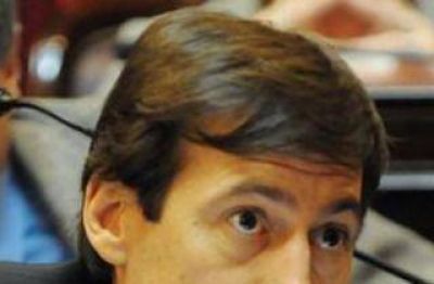 D�az: El Gobierno asegur� que fue un �lamentable accidente� 
