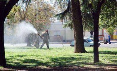 Si el tiempo lo permite, se realizar�n nuevos trabajos de fumigaci�n