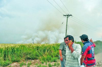 Unas 50 hect�reas del Parque Sarmiento fueron afectadas por un incendio