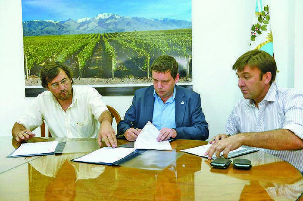 Consejo Oliv�cola: Al�s dijo que en febrero sesionar� en San Juan