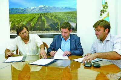 Consejo Oliv�cola: Al�s dijo que en febrero sesionar� en San Juan