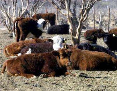 La econom�a de Mendoza creci� menos en 2012 