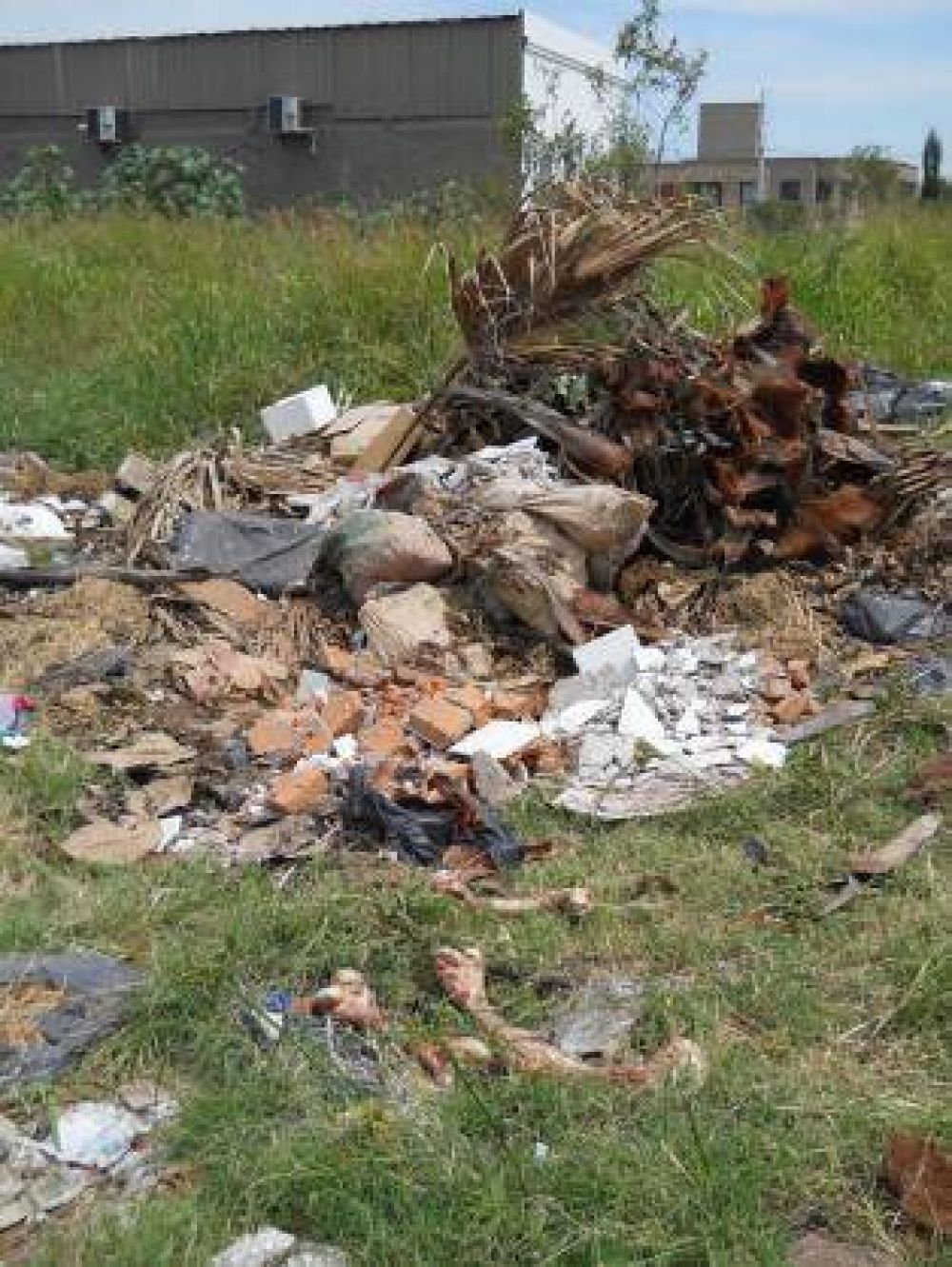 Una circunvalaci�n con restos de animales faenados a la vista 