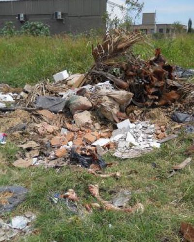 Una circunvalaci�n con restos de animales faenados a la vista 