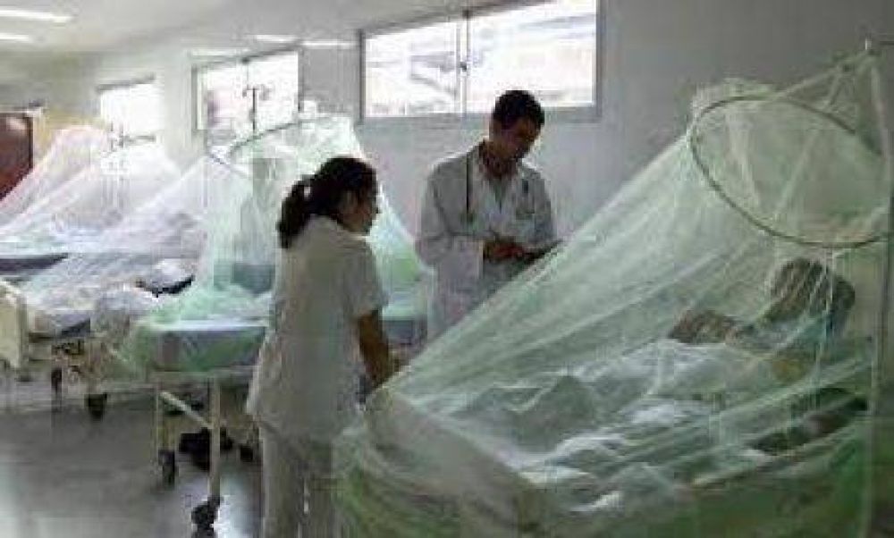 Paraguay: M�s de 160 casos confirmados de dengue en la primera semana de enero 