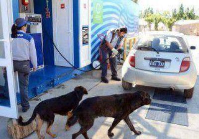 La estaci�n que acerc� a 15 poblados neuquinos 