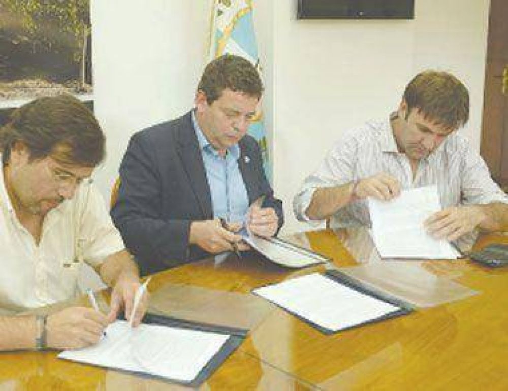 Avanza la conformaci�n del Consejo Federal Oliv�cola 