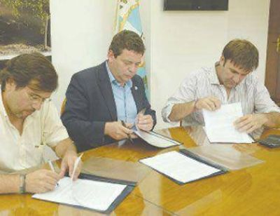 Avanza la conformaci�n del Consejo Federal Oliv�cola 