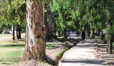 Godoy Cruz: el paseo Alfons�n, con pista de salud 