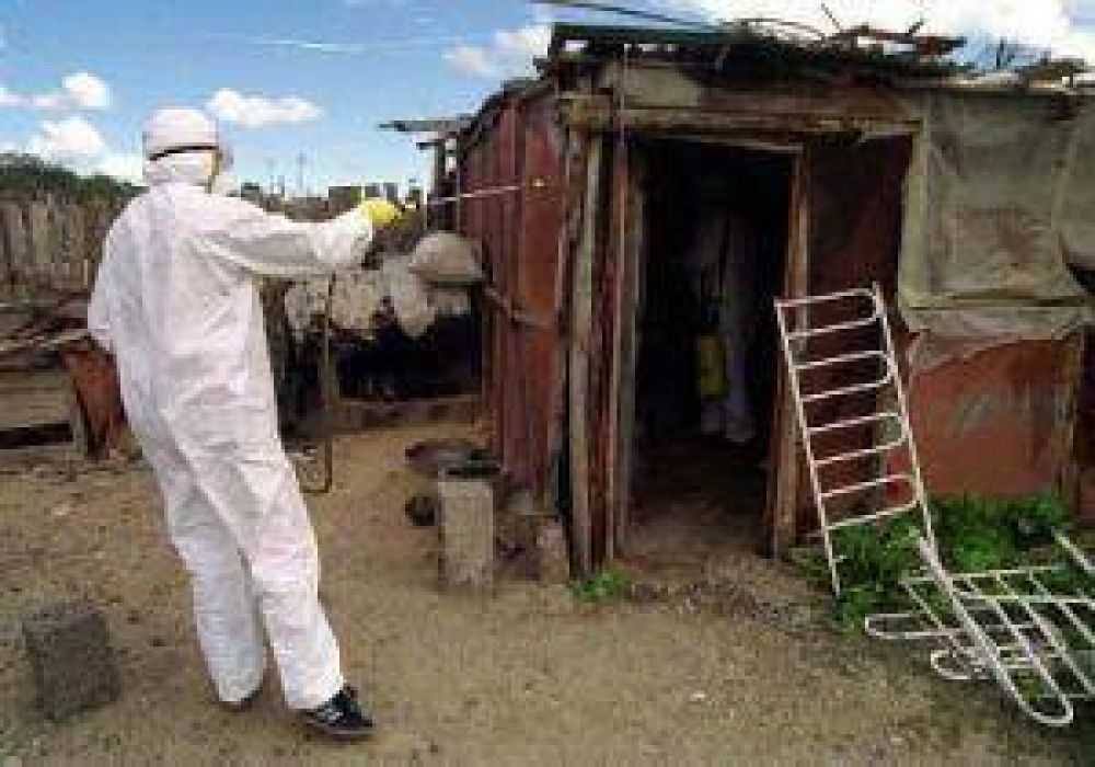 Chagas: el Centro Mandela advierte que la enfermedad va ganando terreno 