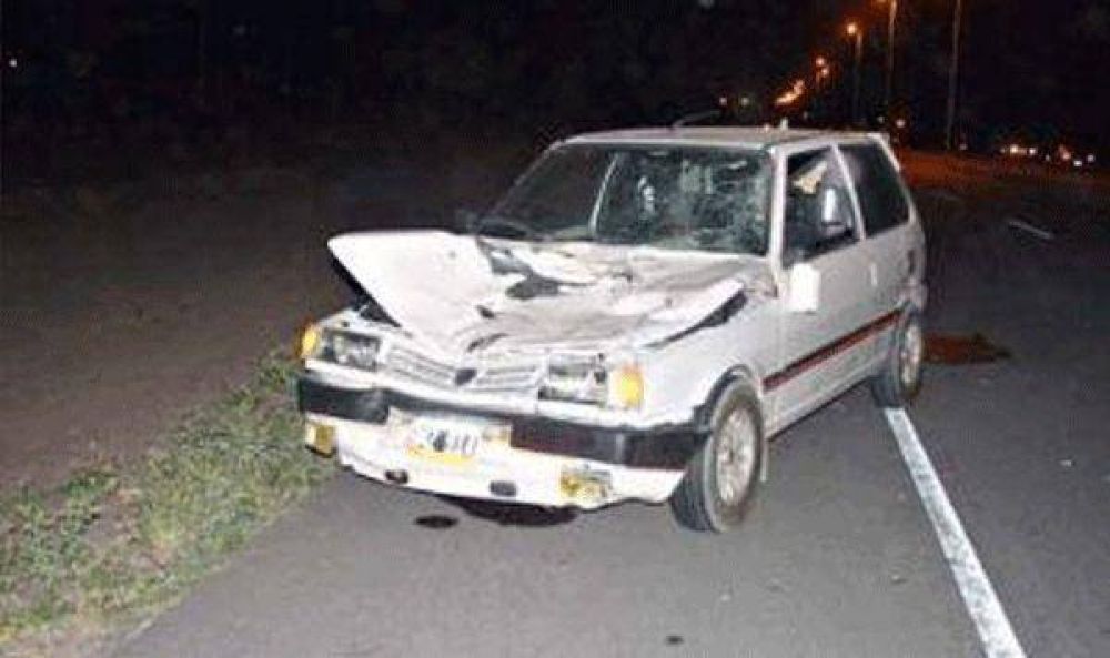 Choc� una mula en la Circunvalaci�n