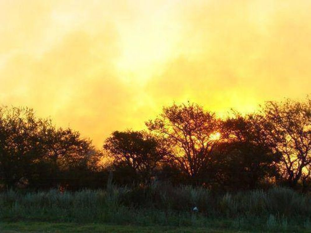 El fuego quem� 60 mil has. en Mendoza y se acerca a La Pampa