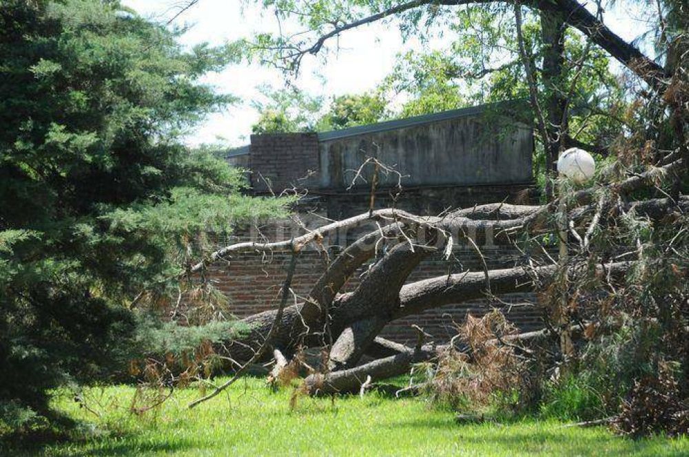 Las tormentas de diciembre costaron m�s de $ 5 millones