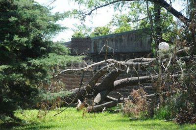 Las tormentas de diciembre costaron m�s de $ 5 millones