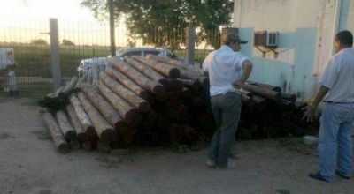 Detectan establecimiento maderero clandestino en Pampa del Indio