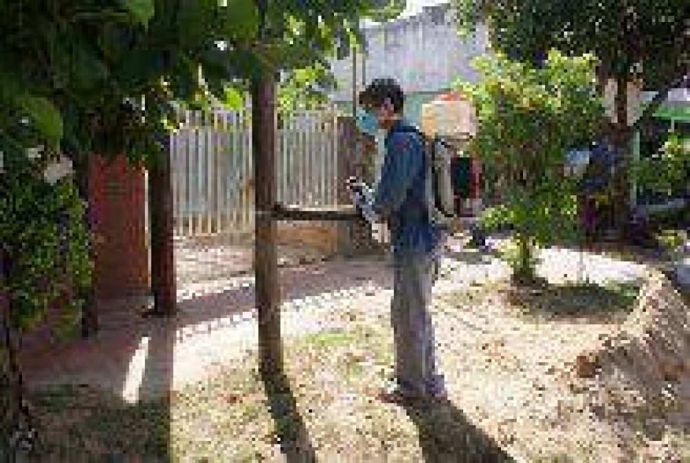 Dengue: el plan de prevenci�n llega este lunes a todo el sector c�ntrico de la ciudad