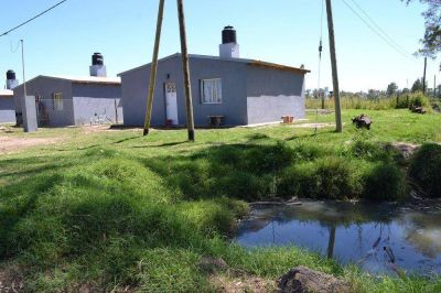 Goedelmann: �El canal est� totalmente contaminado�