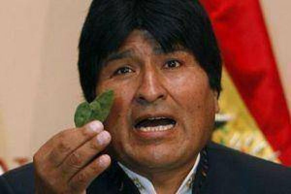 Bolivia celebr� la aceptaci�n de la hoja de coca por la ONU