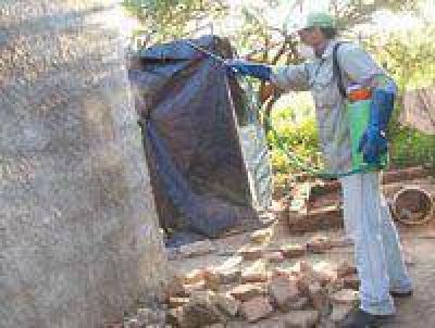 Todos contra el dengue en San Pedro 