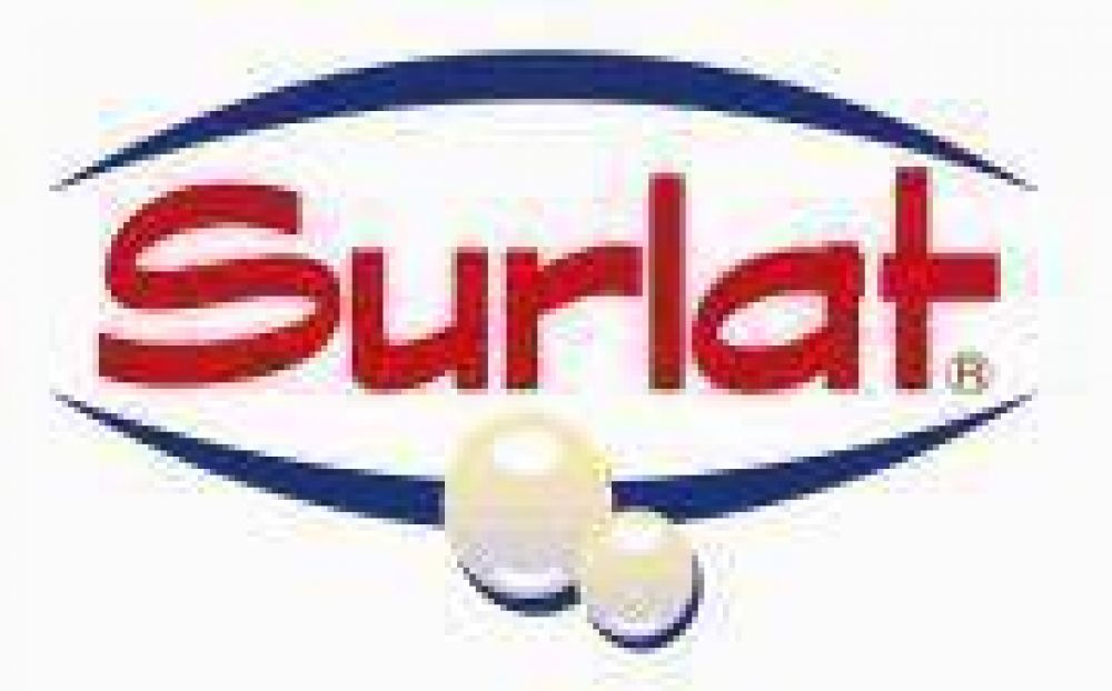 Chile: Surlat Cierra el 2012 con 7% de Alza en Ventas al Totalizar US$110 Millones