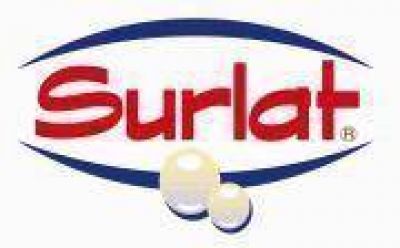 Chile: Surlat Cierra el 2012 con 7% de Alza en Ventas al Totalizar US$110 Millones